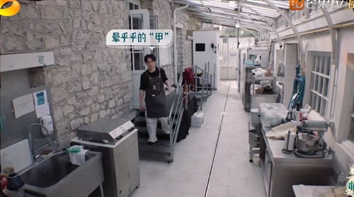 《中餐廳8》爭(zhēng)議升級(jí) 林述巍被鎖冷庫，導(dǎo)演做法引眾怒